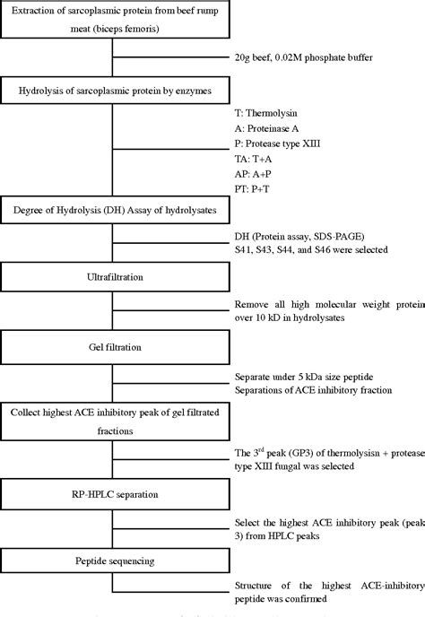 Purification and identification of an angiotensin I  .